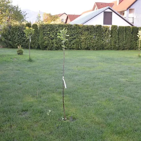 Privat Alexandra * Liptovský Mikuláš