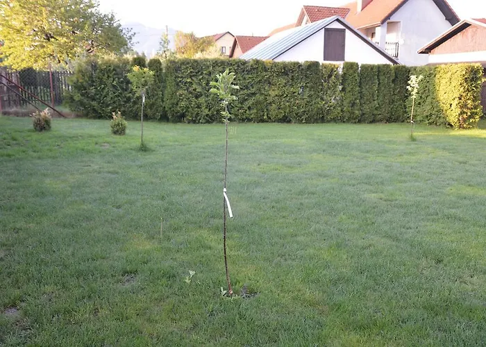 Privat Alexandra * Liptovský Mikuláš